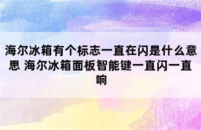 海尔冰箱有个标志一直在闪是什么意思 海尔冰箱面板智能键一直闪一直响